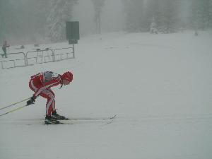 kliknij aby powikszy