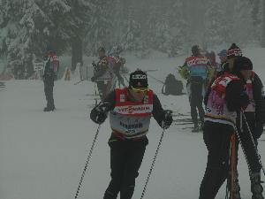 kliknij aby powikszy