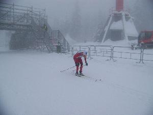 kliknij aby powikszy