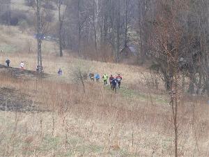 kliknij aby powikszy