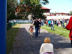 kliknij aby powikszy