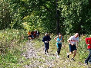 kliknij aby powikszy