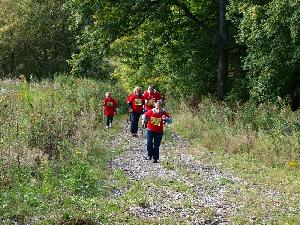 kliknij aby powikszy