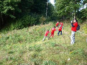 kliknij aby powikszy