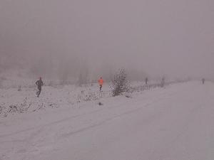 kliknij aby powikszy