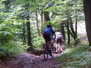 kliknij aby powikszy