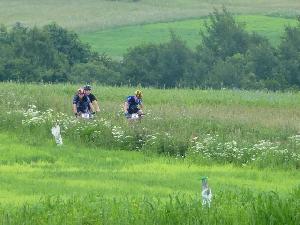 kliknij aby powikszy