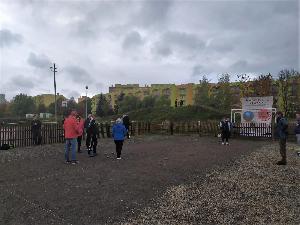 kliknij aby powikszy