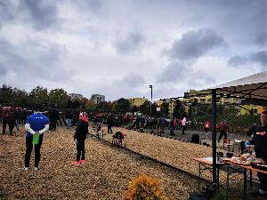 kliknij aby powikszy